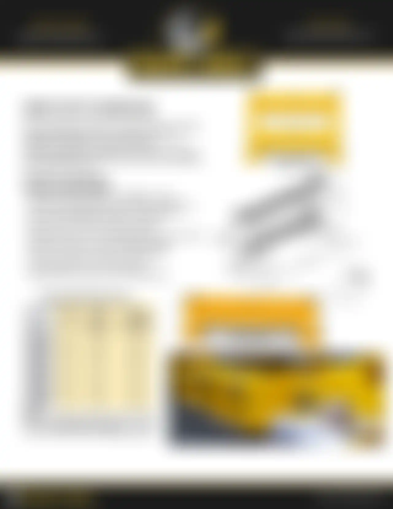 Guardrail Product Information Sheet